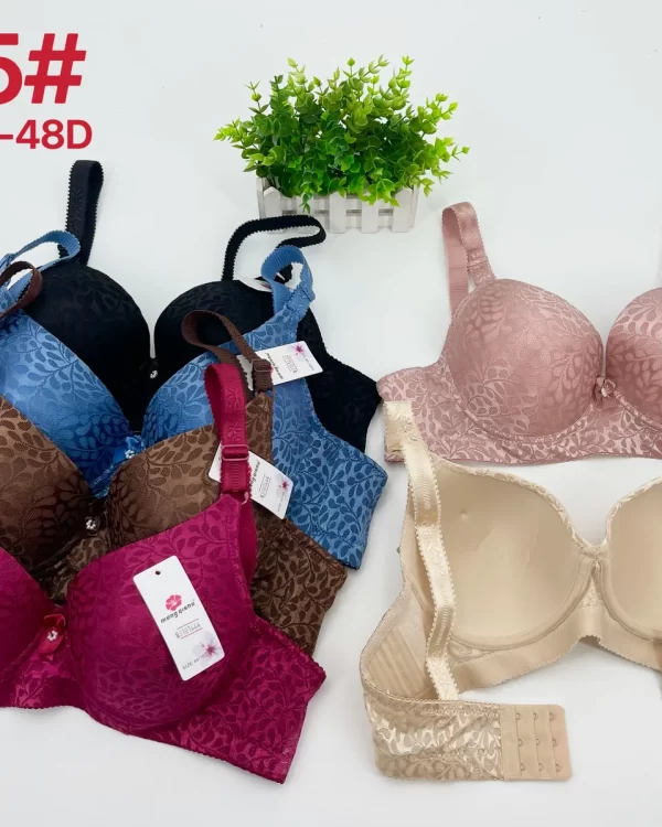 Wholesale Plus Size Jacquard Bra D Cup (005) - China lingerie manufacturer & supplier