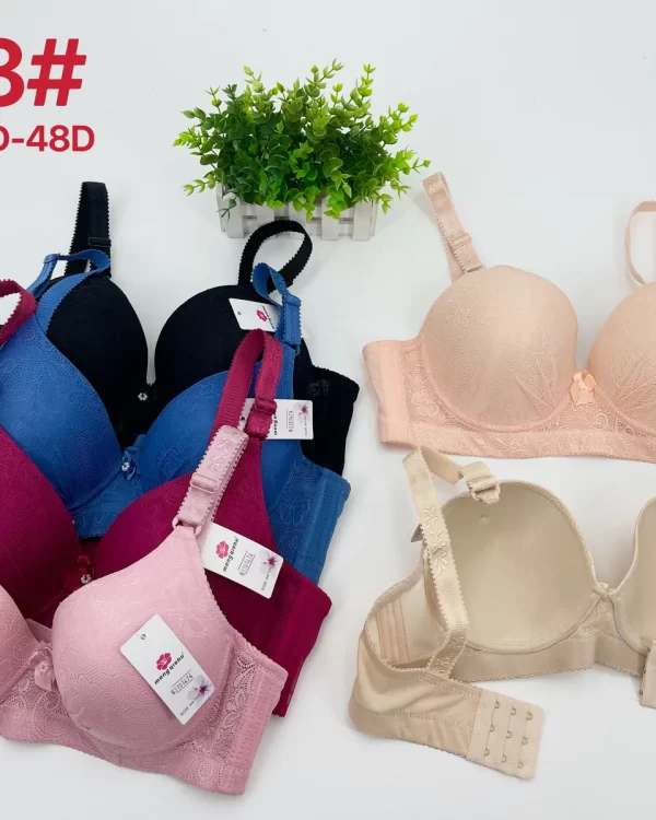 Wholesale Plus Size Lace Trim Bra D Cup (013) - China lingerie manufacturer & supplier