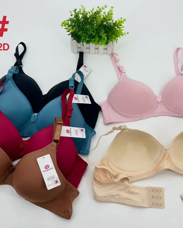 Wholesale Plus Size bra D cup model 101 from factory 278 - China lingerie manufacturer & supplier