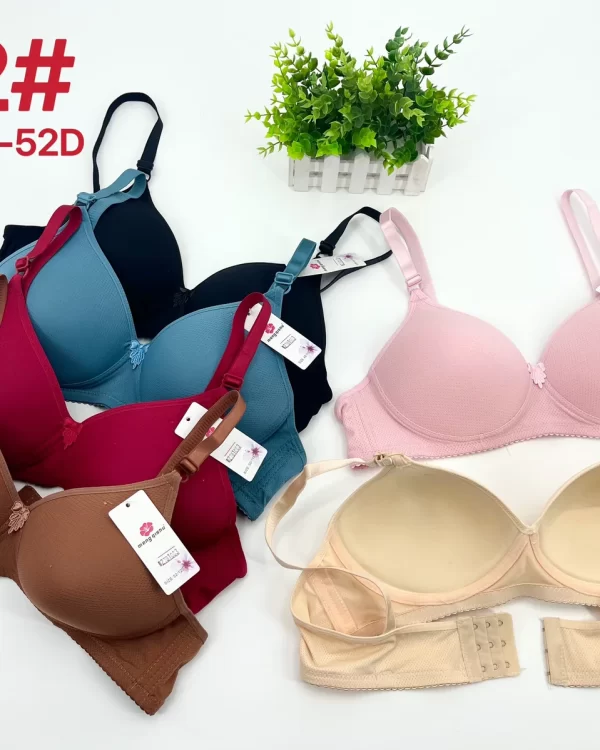 Wholesale Plus Size bra D cup model 102 from factory 278 - China lingerie manufacturer & supplier