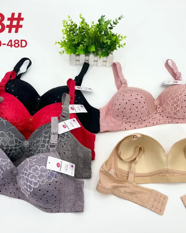 Wholesale Plus Size Lace Trim Bra D Cup (168) - China lingerie manufacturer & supplier