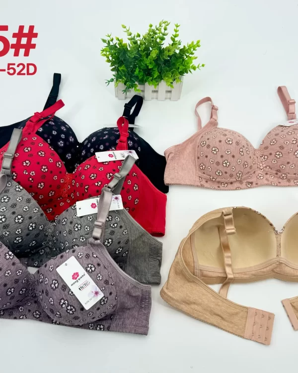 Wholesale Plus Size Bra D Cup (205) - China lingerie manufacturer & supplier