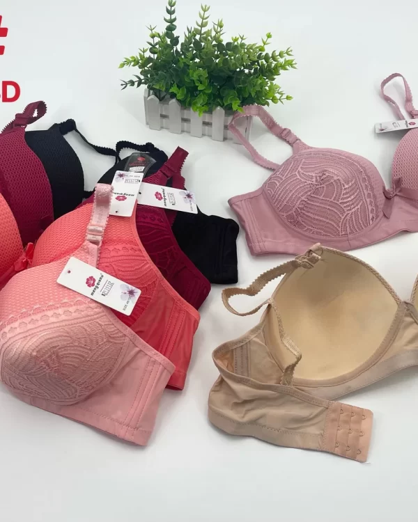 Wholesale Plus Size Lace Trim Bra D Cup (316) - China lingerie manufacturer & supplier