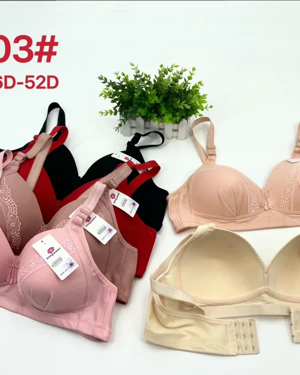 Wholesale Plus Size Lace Trim Bra D Cup (3303) - China lingerie manufacturer & supplier