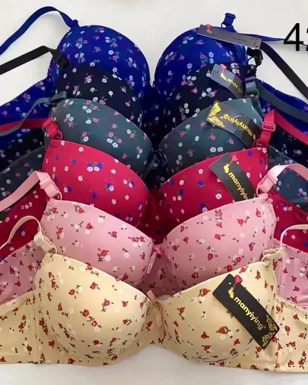Wholesale Plus Size Bra D Cup (522) - China lingerie manufacturer & supplier