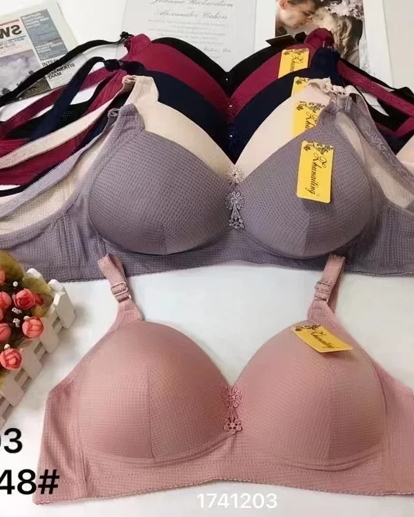 Wholesale Plus Size Bra D Cup (6603) - China lingerie manufacturer & supplier