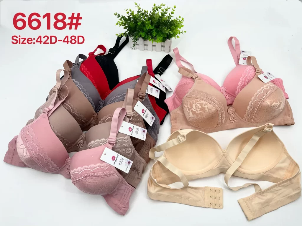 Wholesale Plus Size Lace Trim Bra D Cup (6618) - China lingerie manufacturer & supplier