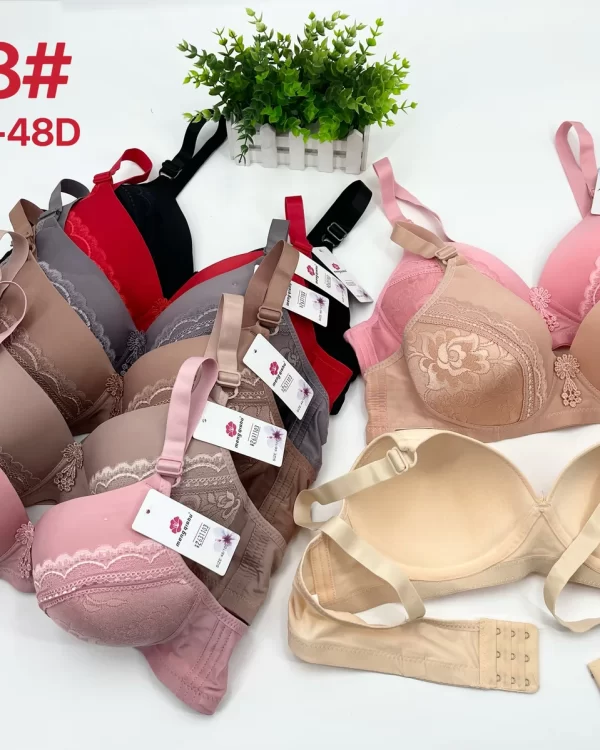 Wholesale Plus Size Lace Trim Bra D Cup (6618) - China lingerie manufacturer & supplier