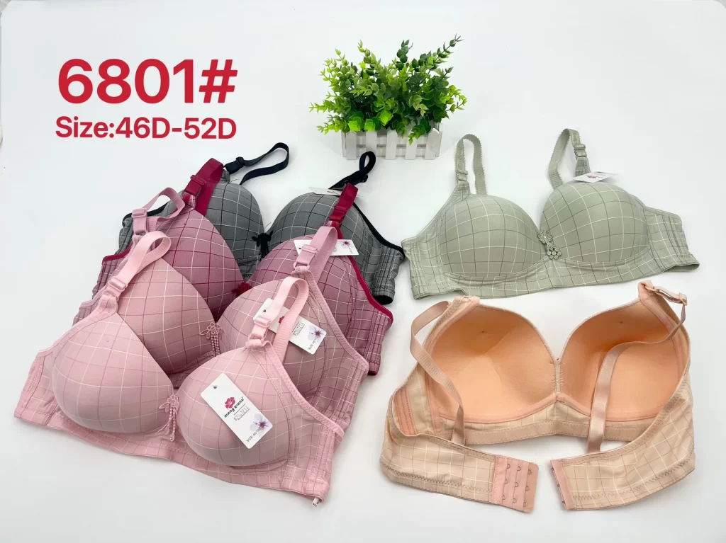 Wholesale Plus Size Bra D Cup (6801) - China lingerie manufacturer & supplier