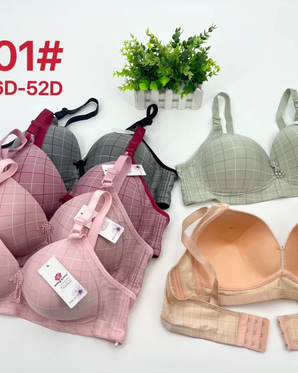 Wholesale Plus Size Bra D Cup (6801) - China lingerie manufacturer & supplier