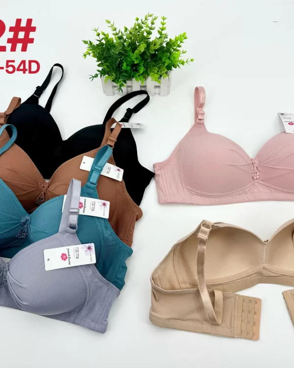 Wholesale Plus Size Bra D Cup (802) - China lingerie manufacturer & supplier