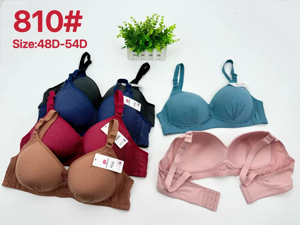 Wholesale Plus Size Bra D Cup (810) - China lingerie manufacturer & supplier