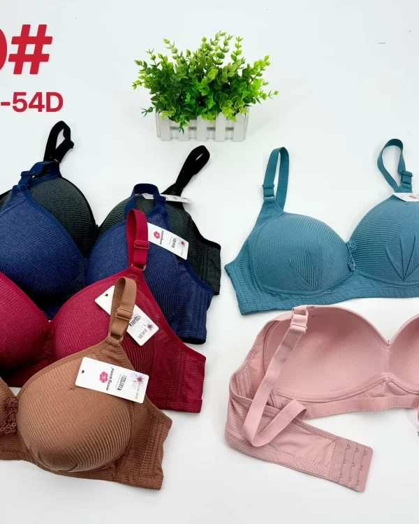 Wholesale Plus Size Bra D Cup (810) - China lingerie manufacturer & supplier