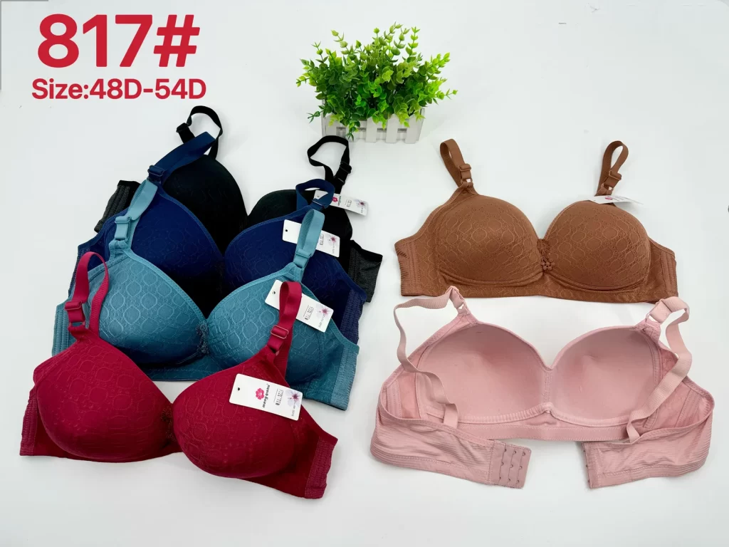 Wholesale Plus Size Bra D Cup (817) - China lingerie manufacturer & supplier