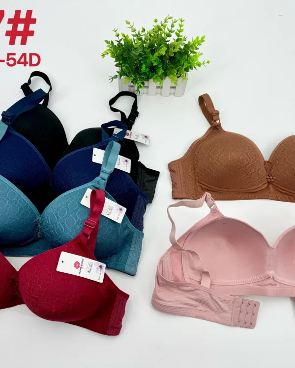 Wholesale Plus Size Bra D Cup (817) - China lingerie manufacturer & supplier