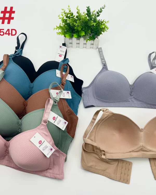 Wholesale Plus Size Bra D Cup (819) - China lingerie manufacturer & supplier
