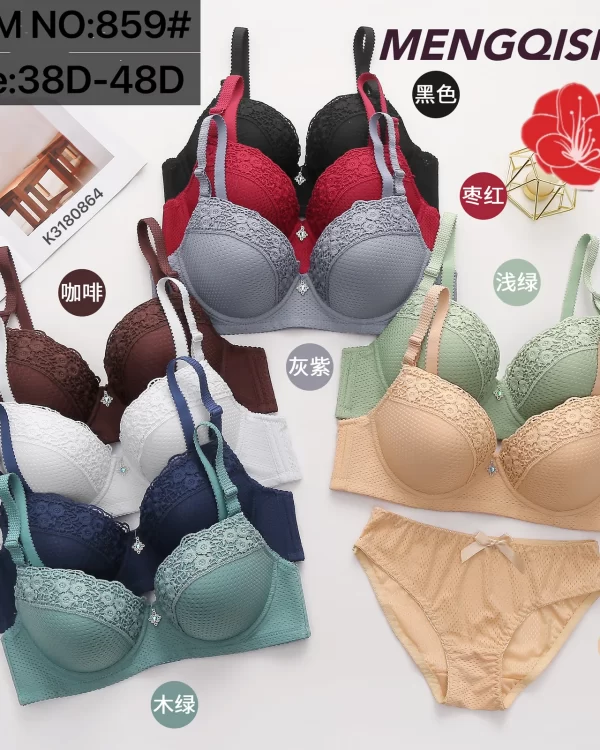 Wholesale Plus Size Bra Set D Cup (859) - China lingerie manufacturer & supplier