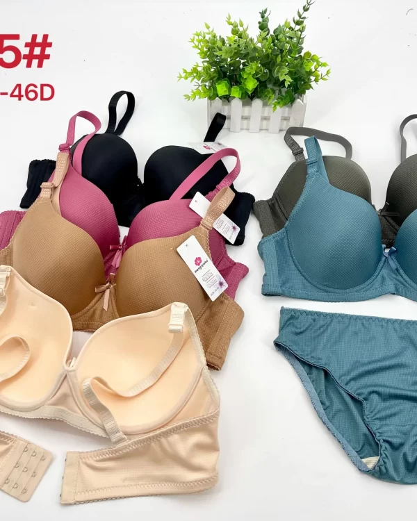 Wholesale Plus Size Bra Set D Cup (8895) - China lingerie manufacturer & supplier