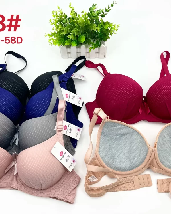 Wholesale Plus Size Bra D Cup (928) - China lingerie manufacturer & supplier