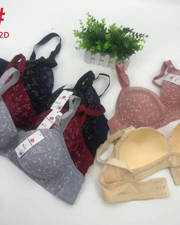 Wholesale Plus Size bra D cup model A6 from factory 018 - China lingerie manufacturer & supplier