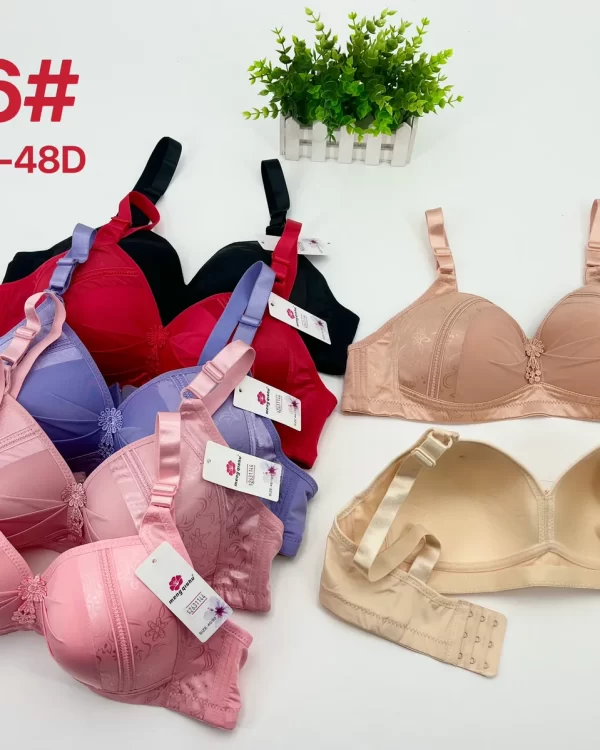 Wholesale Plus Size Bra D Cup (A66) - China lingerie manufacturer & supplier