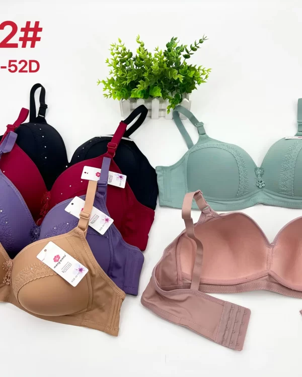 Wholesale Plus Size Lace Trim Bra D Cup (D102) - China lingerie manufacturer & supplier