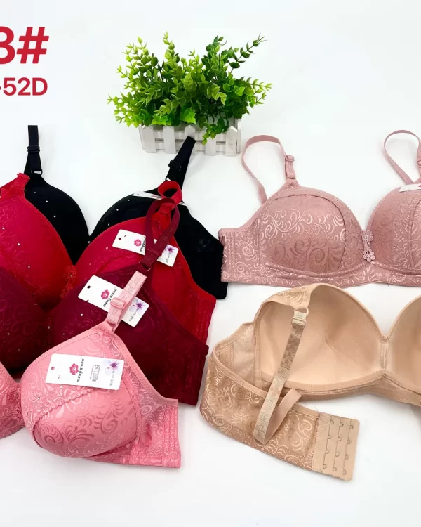Wholesale Plus Size Lace Trim Bra D Cup (D103) - China lingerie manufacturer & supplier