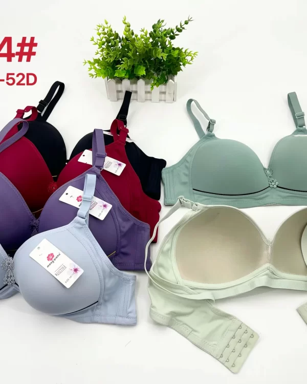 Wholesale Plus Size Bra D Cup (D104) - China lingerie manufacturer & supplier