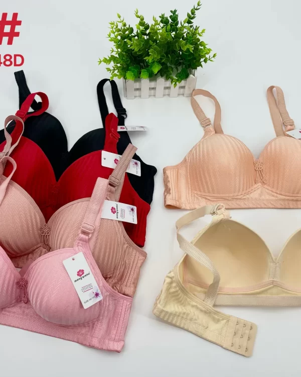 Wholesale Plus Size Striped Bra D Cup (D11) - China lingerie manufacturer & supplier