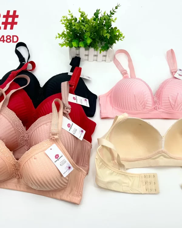 Wholesale Plus Size Lace Trim Bra D Cup (D12) - China lingerie manufacturer & supplier