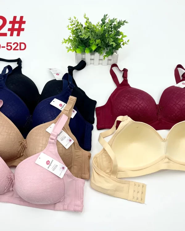 Wholesale Plus Size Lace Trim Bra D Cup (D12) - China lingerie manufacturer & supplier