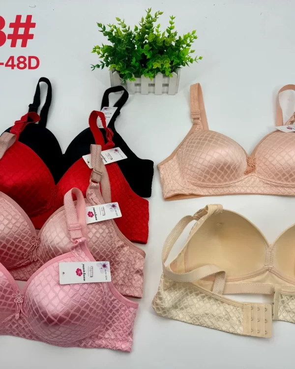 Wholesale Plus Size Bra D Cup (D13) - China lingerie manufacturer & supplier