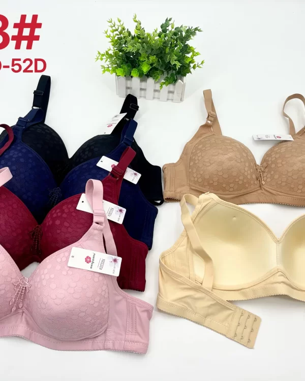 Wholesale Plus Size Lace Trim Bra D Cup (D13) - China lingerie manufacturer & supplier