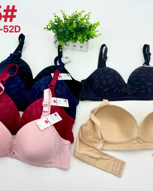 Wholesale Plus Size Lace Trim Bra D Cup (D15) - China lingerie manufacturer & supplier