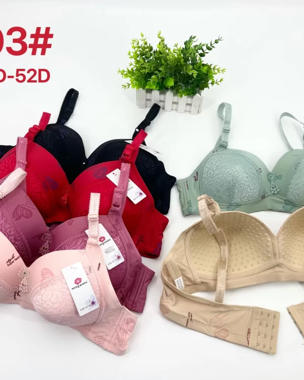 Wholesale Plus Size Lace Trim Bra D Cup (D203) - China lingerie manufacturer & supplier