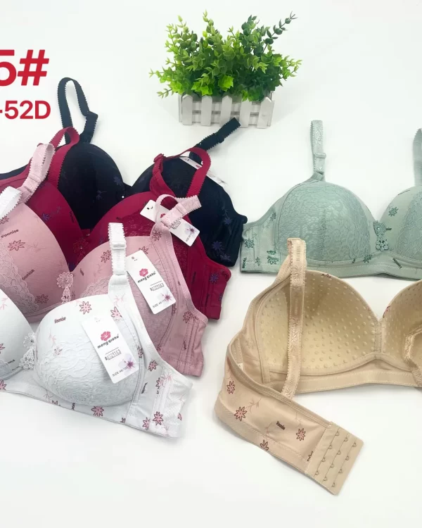 Wholesale Plus Size Lace Trim Bra D Cup (D205) - China lingerie manufacturer & supplier
