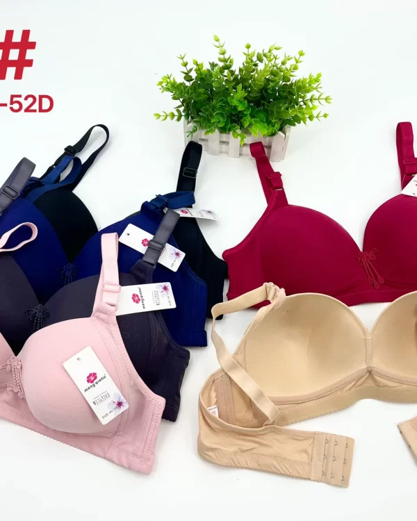 Wholesale Plus Size Lace Trim Bra D Cup (D5) - China lingerie manufacturer & supplier