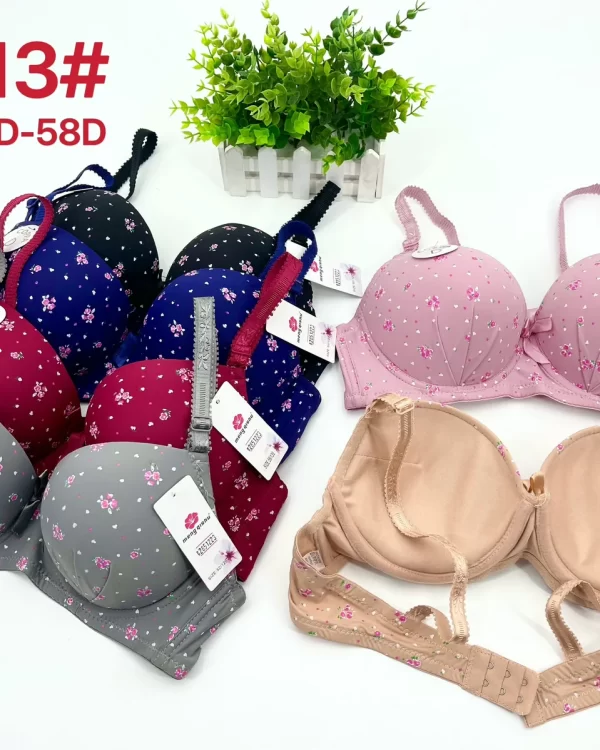 Wholesale Plus Size Bra D Cup (D613) - China lingerie manufacturer & supplier