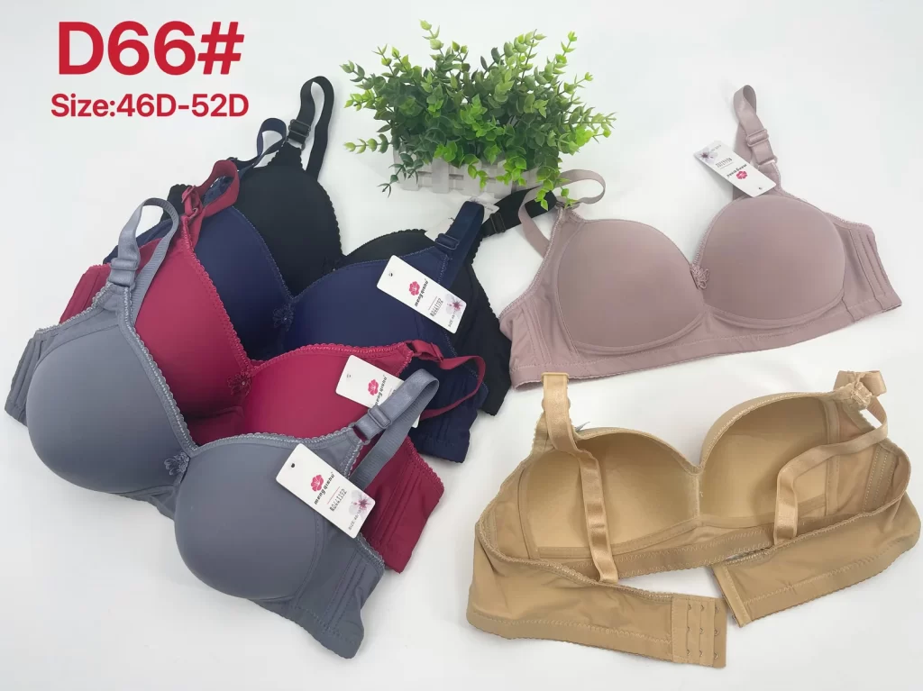 Wholesale Plus Size Lace Trim Bra D Cup (D66) - China lingerie manufacturer & supplier