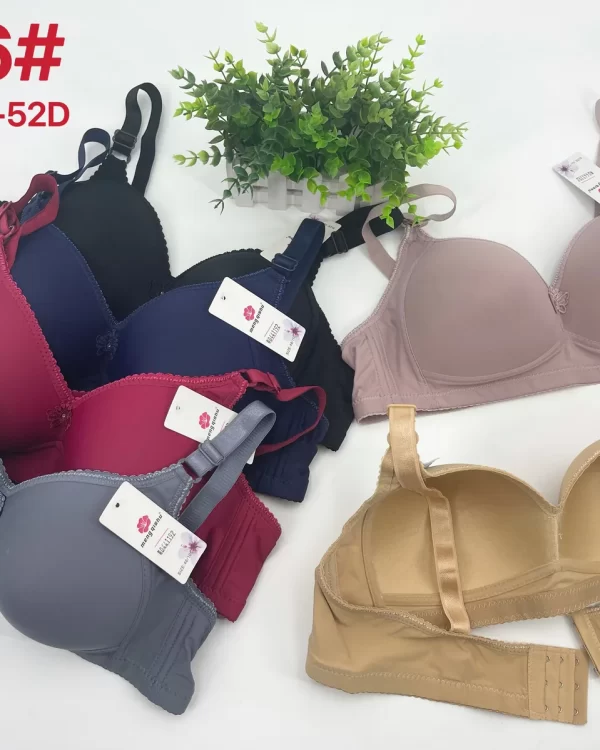 Wholesale Plus Size Lace Trim Bra D Cup (D66) - China lingerie manufacturer & supplier