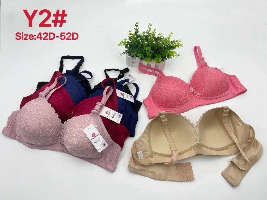 Wholesale Plus Size Lace Trim Bra D Cup (Y2) - China lingerie manufacturer & supplier