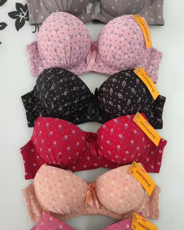 Wholesale Plus Size Floral Print Bra (D09) - China lingerie manufacturer & supplier