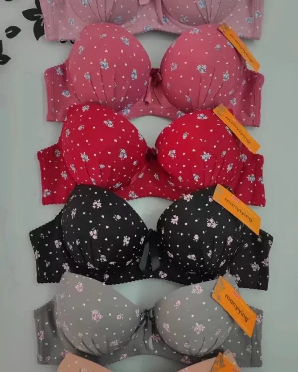 Wholesale Plus Size Floral Print Bra (D11) - China lingerie manufacturer & supplier