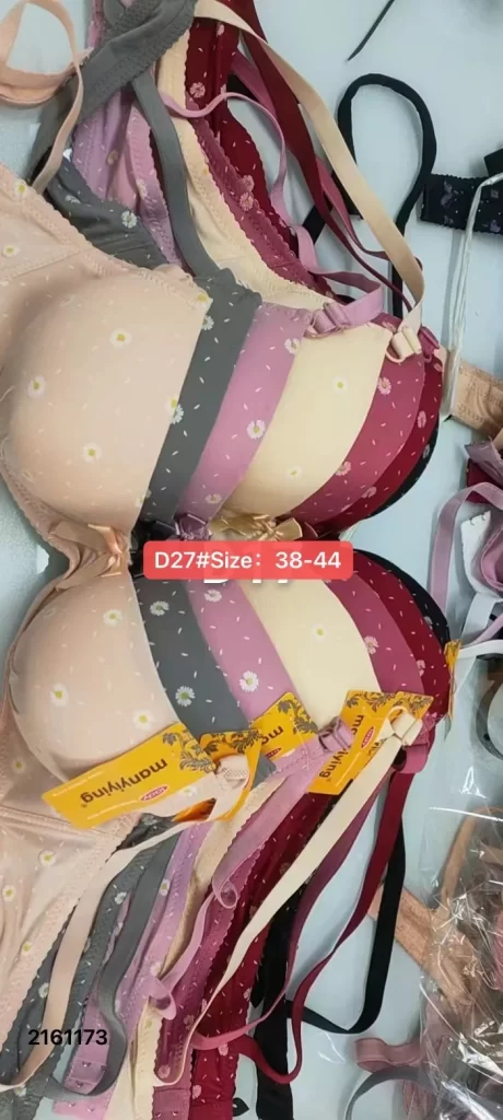 Wholesale Plus Size Floral Print Bra (D27) - China lingerie manufacturer & supplier