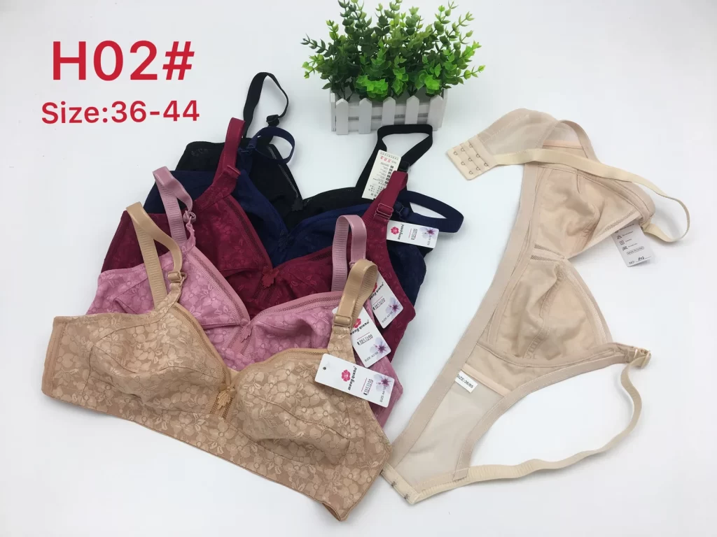 Wholesale Plus Size bra model H02 from factory 185 - China lingerie manufacturer & supplier