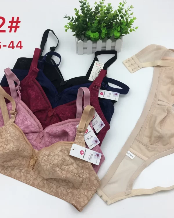Wholesale Plus Size bra model H02 from factory 185 - China lingerie manufacturer & supplier