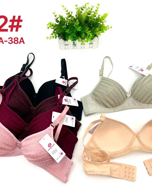 Wholesale Push-Up bra A cup model 222 from factory 273 - China lingerie manufacturer & supplier