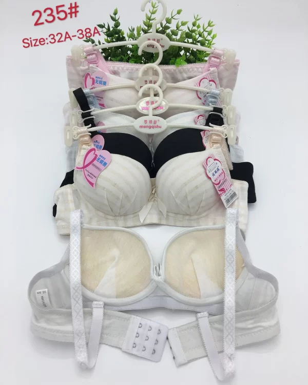 Wholesale Push-Up bra A cup model 235 from factory 110 - China lingerie manufacturer & supplier