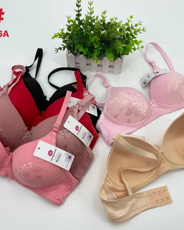 Wholesale Push-Up bra A cup model 520 from factory 248 - China lingerie manufacturer & supplier