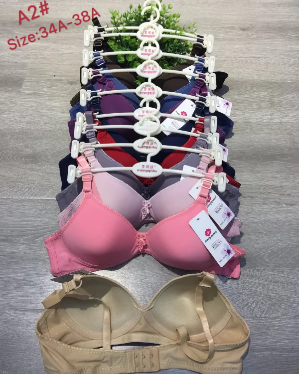 Wholesale Push-Up bra A cup model A2 from factory 223 - China lingerie manufacturer & supplier